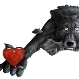 B R Z, ���������, 40 ���