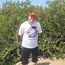 ��������� ���� �� ������� ���� ����������