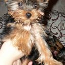 ���� Nicol, ������ - ��������� 27 �������� 2013 � ������ ������ ������ � ���� ��������.������� ^^�