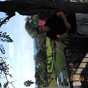 ���� �������, �����, 44 ���� - ��������� 17 �������� 2013 � ������ ���� ����������