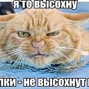 ���� �����, ������-��-���� - ��������� 27 ������� 2013 � ������ ���� ����������