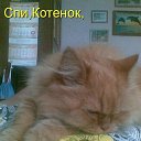 � ����� �������� ���� vk.com/fotiko �� ������� ���� ���� ������