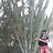 ���� Kiry-, ������, 65 ��� - ��������� 17 ������ 2013