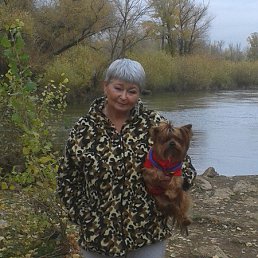 ����, ��������, 67 ���