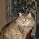 ���� ������� �., ����� - ��������� 14 ������� 2013 � ������ ���� ���� � ������ ��������