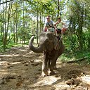  ,  -  20  2013    2013