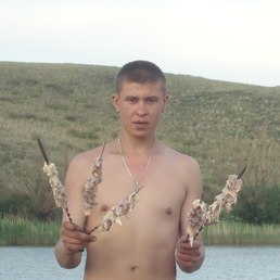 ����, ���������, 41 ���