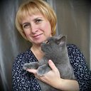 ���� �����, ������, 55 ��� - ��������� 8 ����� 2014 � ������ ���� ����������