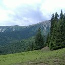 ���� �������, ������, 56 ��� - ��������� 11 ������ 2014 � ������ �Tropikania�