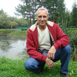  , -, 68  -  18  2013