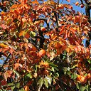 ������� �����!!! �� ������� ��������� �� �������.�