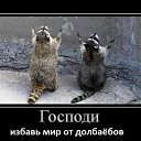 ���� �����, �������� - ��������� 11 �������� 2013 � ������ ���� ����������
