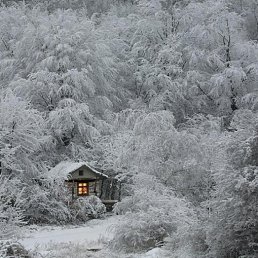  ,  , 45  -  21  2013