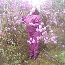 �� ������