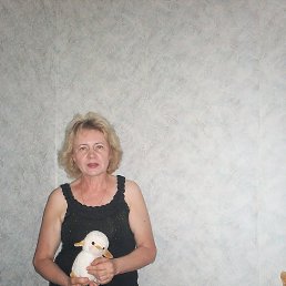 ���� 2013�.