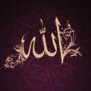���� ���������, ���������, 33 ���� - ��������� 17 ������ 2013 � ������ ���� ����������