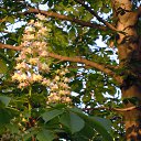 ���� ����, ������, 64 ���� - ��������� 12 ������ 2014 � ������ ���� ����������