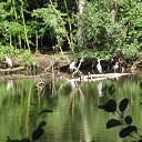 Hamburg,Bramfelder See �� ������� ������ ��������