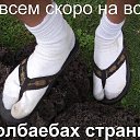 ���� Zoro, ��������, 53 ���� - ��������� 31 ������ 2014 � ������ �������