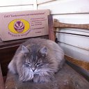 ���� ������, ���������� - ��������� 2 ������� 2014 � ������ ���� ����������