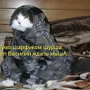 ���� ������, �����, 53 ���� - ��������� 10 ����� 2014 � ������ �������