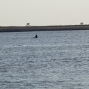 ���� �����, ��������, 54 ���� - ��������� 20 ������ 2013 � ������ ���� ����������