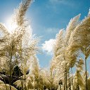 ���� ������ 72, ������������, 53 ���� - ��������� 30 ������� 2013 � ������ ������� �������