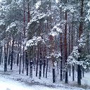 Tarik,  -  11  2014    