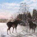 ���� ~ *���*~, ������ - ��������� 30 ������ 2013 � ������ ��������ܻ