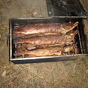 ���� �����, ��������, 54 ���� - ��������� 6 ������ 2014 � ������ ������ ��������