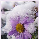 ���� �������, �������, 55 ��� - ��������� 25 ������� 2014