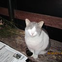  , -, 57  -  20  2013   2013 .