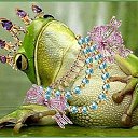 ���� ������, ������� - ��������� 13 �������� 2013 � ������ ���� ����������