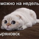 ���� ��������, ����-�����������, 51 ��� - ��������� 12 ������ 2014 � ������ ���� ����������