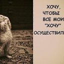 ���� �����, �������, 50 ��� - ��������� 23 ������� 2013 � ������ ���� ����������