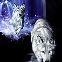 ���� ����_����, �����-���������, 28 ��� - ��������� 6 ������� 2013 � ������ ���� ����������