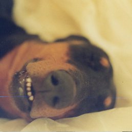  Luarsab, , 52  -  16  2013