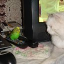 ���� ���, ������-������, 66 ��� - ��������� 30 ������� 2013 � ������ ���� ����������