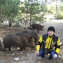 ���� ����� ���������, ����, 41 ��� - ��������� 25 ������� 2014 � ������ ���� ����������