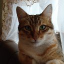 ���� Elena, ��������� - ��������� 2 ������� 2013 � ������ ���� ��� � �����!�