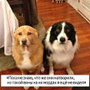 ���� ���, ������ - ��������� 18 ������� 2013 � ������ ���������