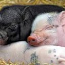 ���� ������, ������, 65 ��� - ��������� 30 ������� 2013 � ������ ���� ����������