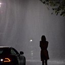 ���� �����, ������ �������� - ��������� 8 ������� 2013 � ������ ���������