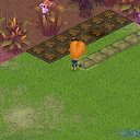 ����� ������
 �� ������� �Tropikania�