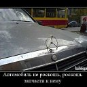 ���� ���������, �����, 43 ���� - ��������� 17 ������ 2013 � ������ ������ ��������