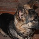 ���� ������, ������� - ��������� 21 ������� 2013 � ������ ���� ����������