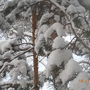 ���� �����, ������ - ��������� 21 ������� 2013 � ������ �����