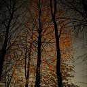 ���� ��������, �����-���������, 37 ��� - ��������� 21 ������� 2013 � ������ �������������