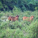 ���� ����, �����-��������� - ��������� 20 �������� 2013 � ������ ���� ����������