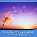  Elena, - -  21  2013     .